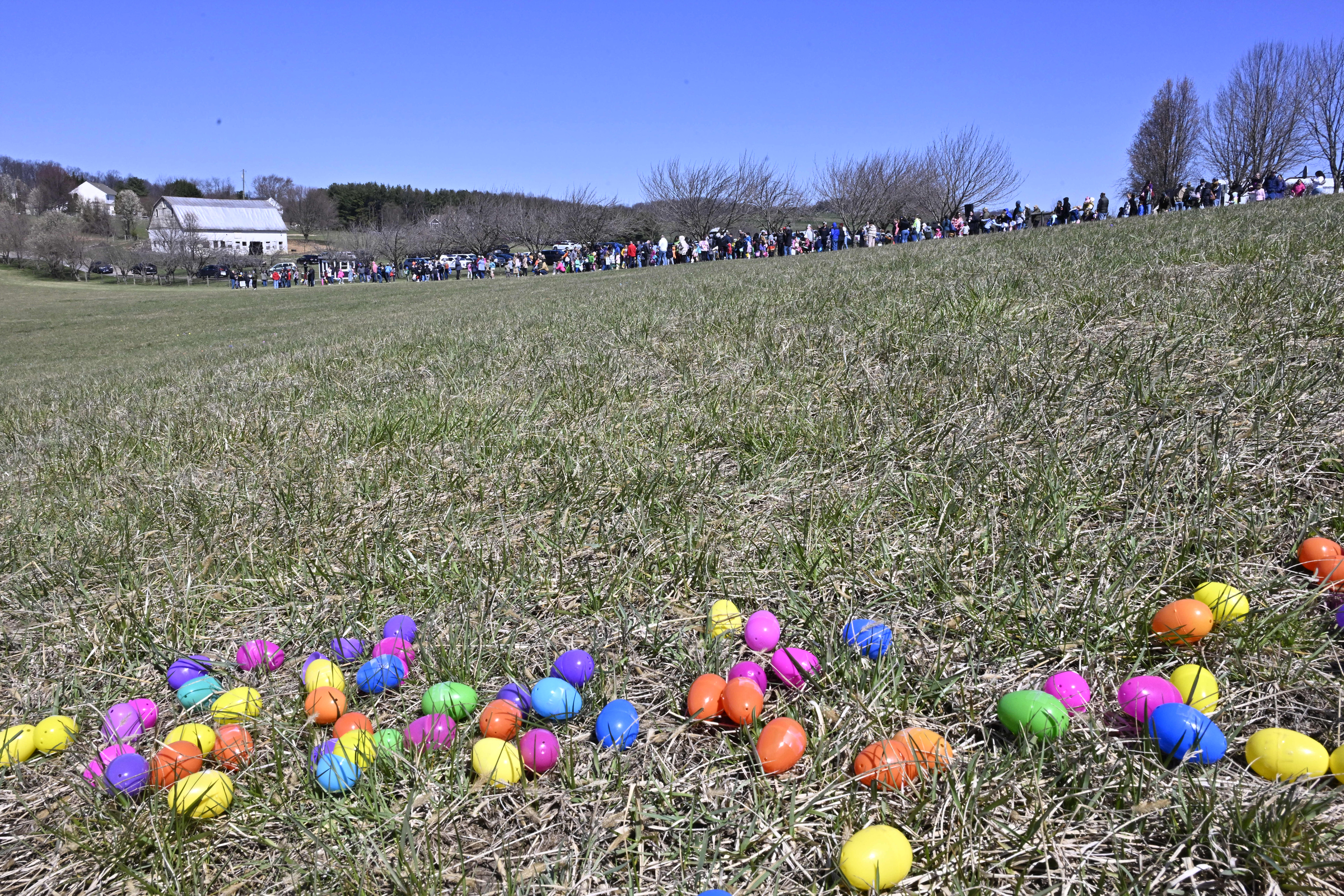 during the Coppermine Eggstravaganza at Cascade Park in Hampstead. (Thomas Walker/Freelance)