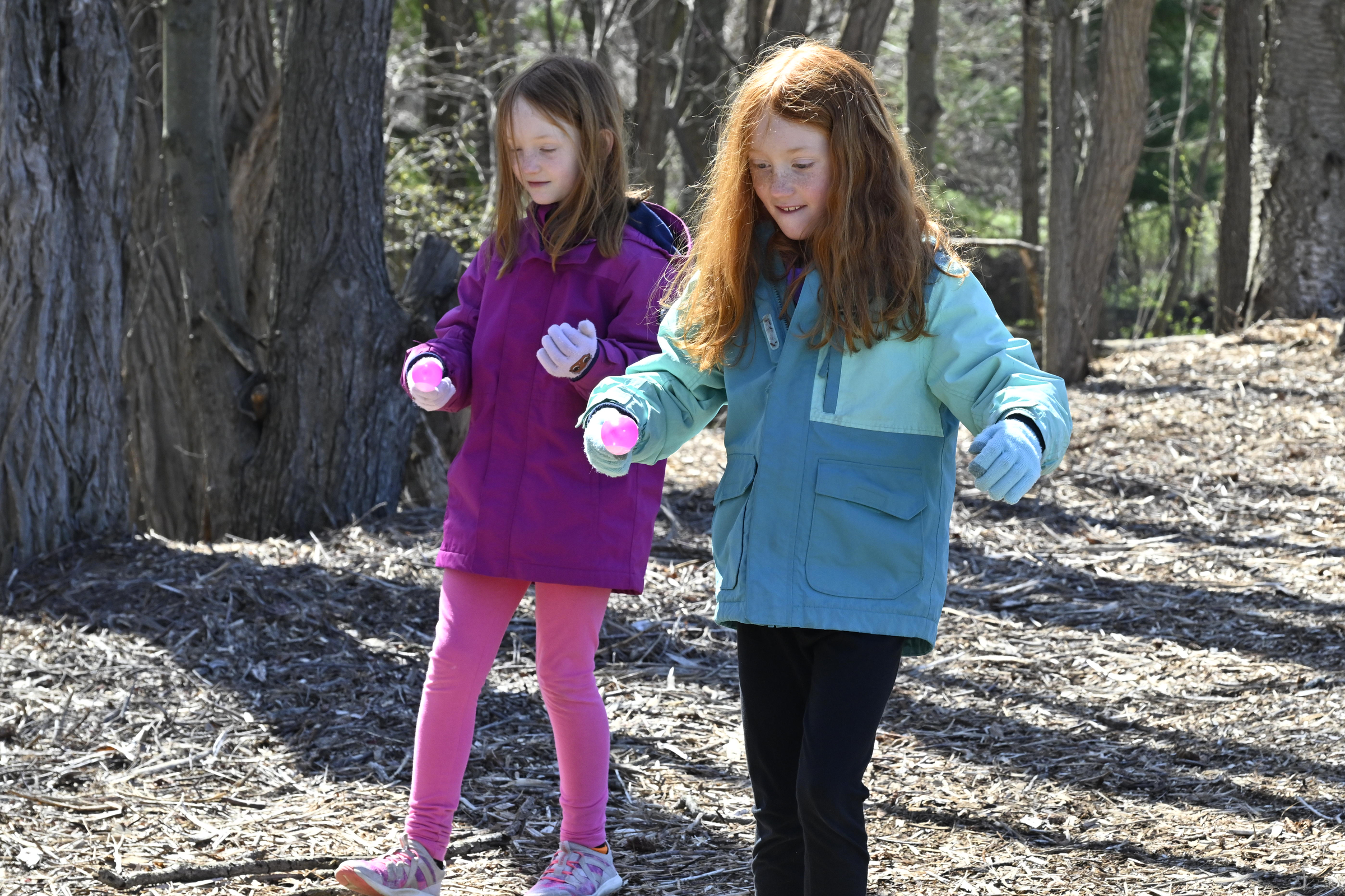 Adelyn, left, and Nora Cross walk backward while balancing eggs on spoons during the Coppermine Eggstravaganza at Cascade Park in Hampstead. (Thomas Walker/Freelance)