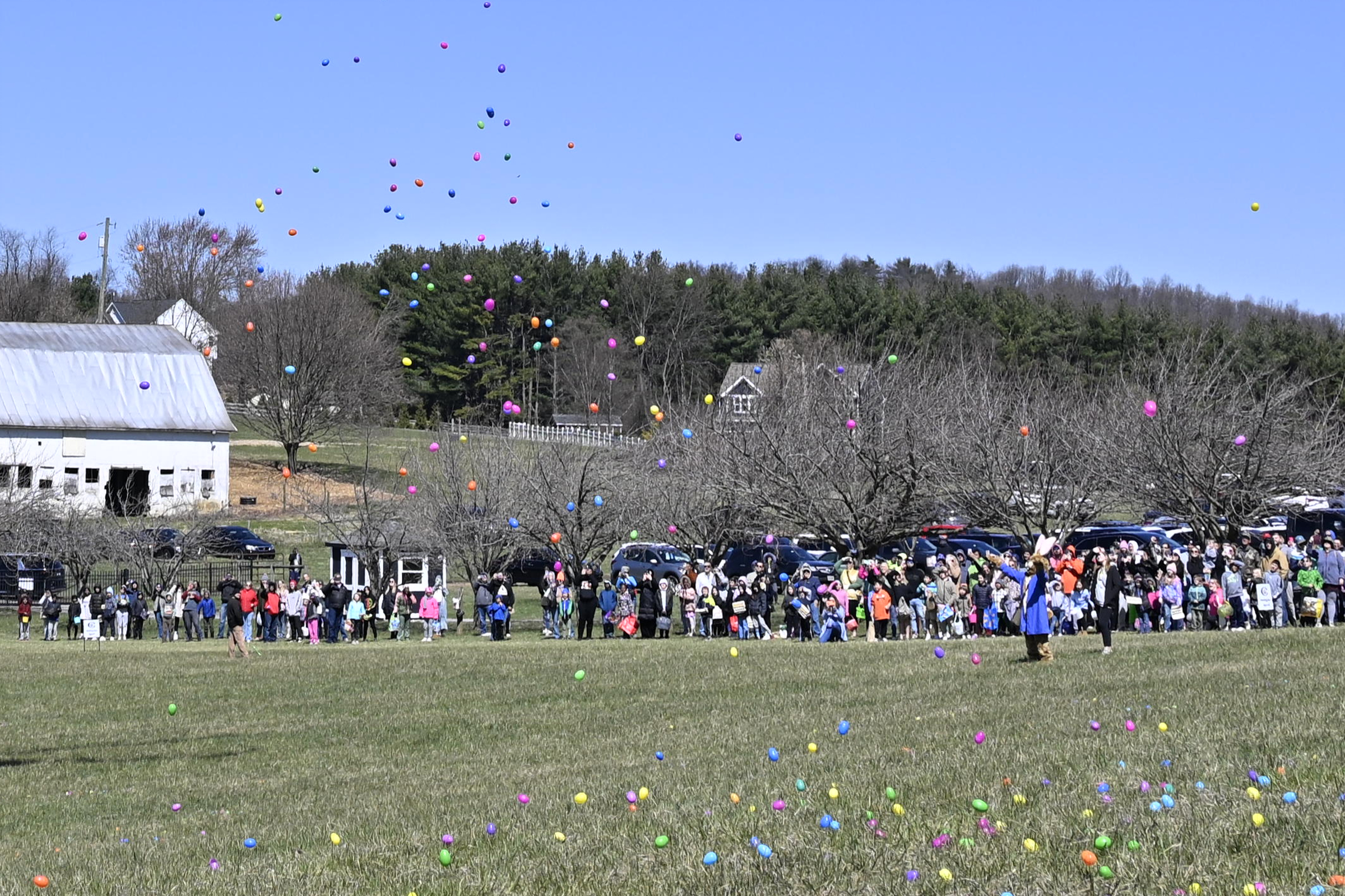 Easter eggs rain down from the sky as crowds await the hunt during the Coppermine Eggstravaganza at Cascade Park in Hampstead. (Thomas Walker/Freelance)