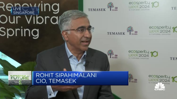 Temasek CIO on the green transition: 'Clearly we can move faster, we need to move faster'