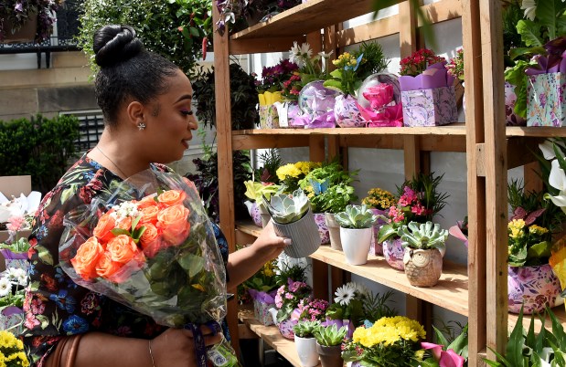 May 3, 2024: Cameron Turner of Baltimore ponders her choices at the Mount Vernon Place Conservancy annual Flower Mart at Mount Vernon Place this afternoon. (Barbara Haddock Taylor/Staff)