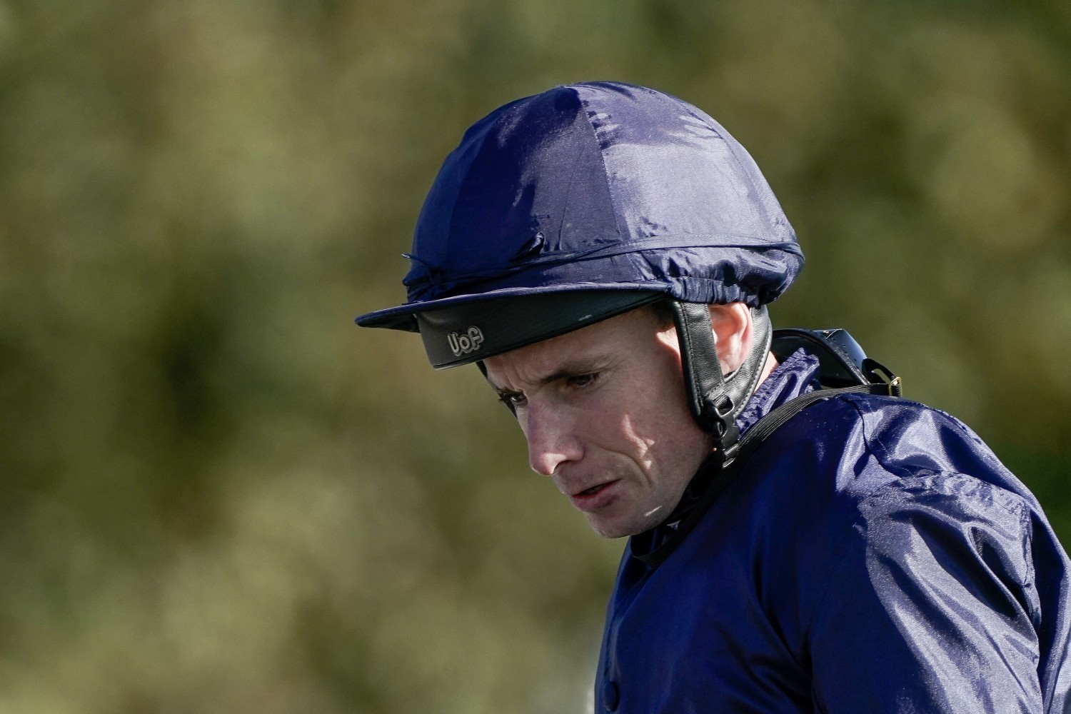 Ryan Moore has been very bullish about City Of Troy