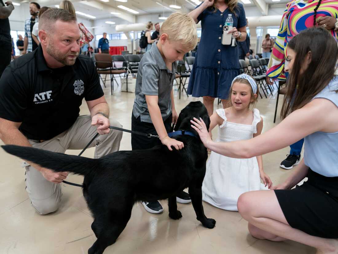 Special Agent Corey Wells, introduces his K-9, Tara to his children, Owen Wells, 5, and Lucy Wells, 9, following a graduation ceremony for Bureau of Alcohol, Tobacco, Firearms and Explosives (ATF) Special Agent Canine Handlers and their dogs at the ATF training facility in Front Royal, Va., on Friday.
