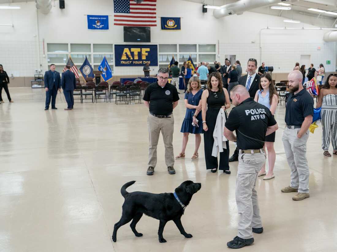 Audience members watch a demonstration by Special Agent Corey Wells and his K-9 Tara during a graduation ceremony for Bureau of Alcohol, Tobacco, Firearms and Explosives (ATF) Special Agent Canine Handlers and their dogs at the ATF training facility in Front Royal, Va., on Friday.