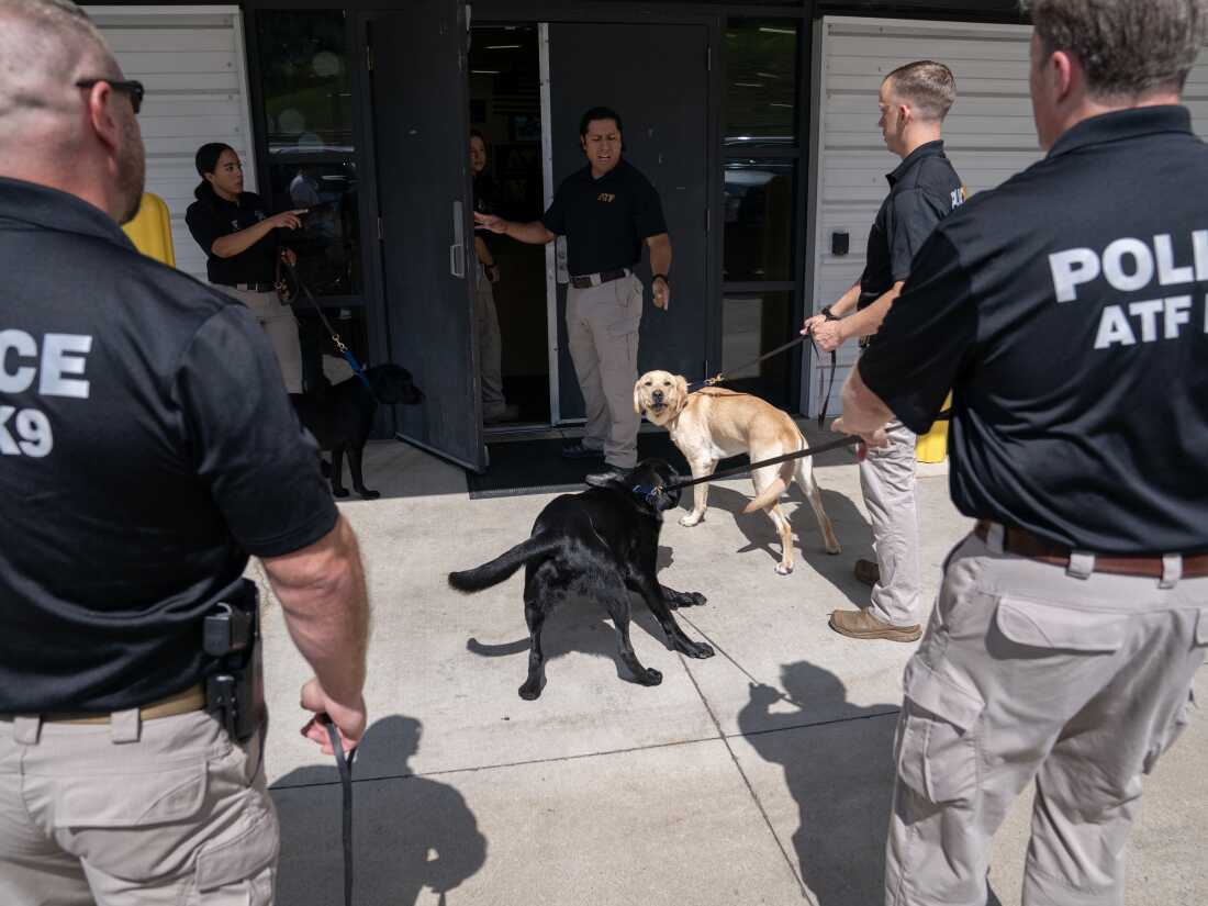 Canine handlers line up ahead of a graduation ceremony for Bureau of Alcohol, Tobacco, Firearms and Explosives (ATF) Special Agent Canine Handlers and their dogs at the ATF training facility in Front Royal, Va., on Friday.