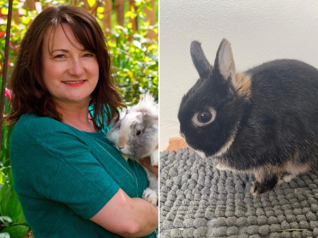 Rachel Parsons (left) from Croydon Animal Samaritans, was contacted by a woman terrified of her dwarf rabbit Midge (right) (Picture: SWNS)