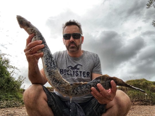 Man in sunglasses holds up long eel-like fish akin to a large leech.