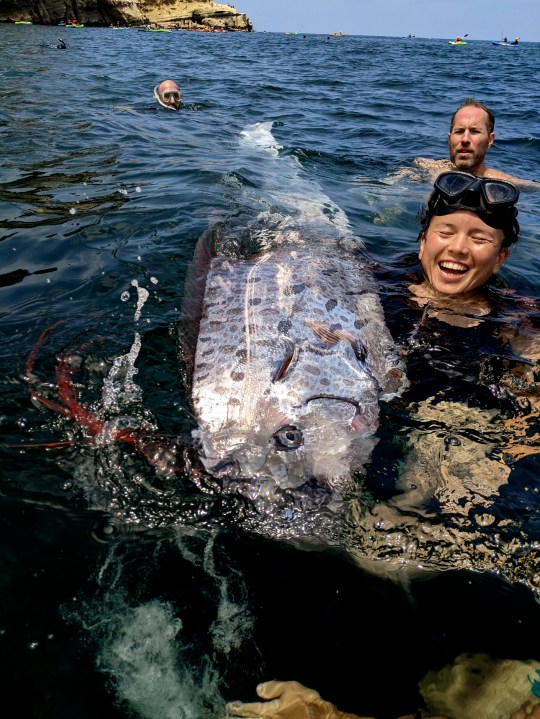 Oarfish have been nicknamed 'doomsday fish' in some parts of the world