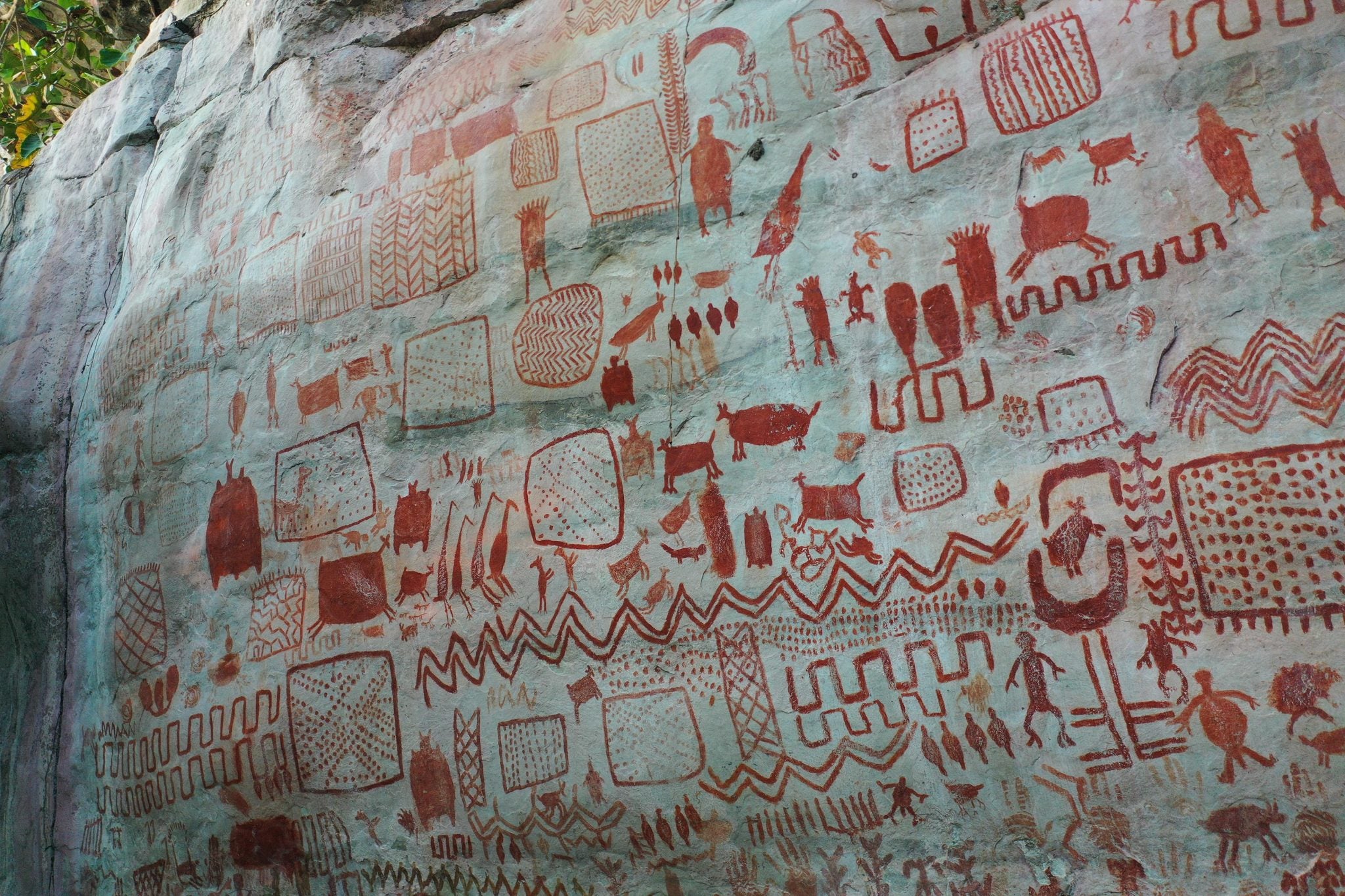 One of the panels studied as part of the Amazonian rock art project