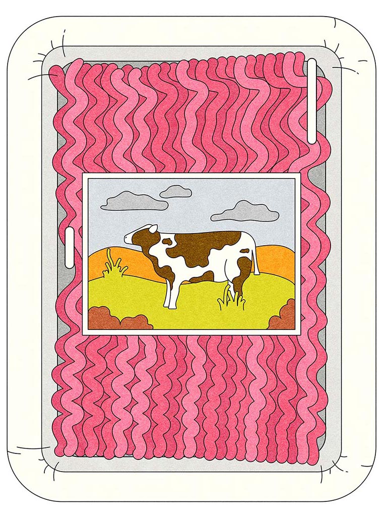 An illustration of the same package of ground beef. This time the label shows a cow in a pasture that is yellow and parched. There is a blue sticker on top of the package that reads ‘Environmental cost: +.02.’