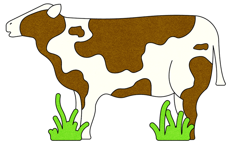 An illustration of a cow standing on some patches of grass.