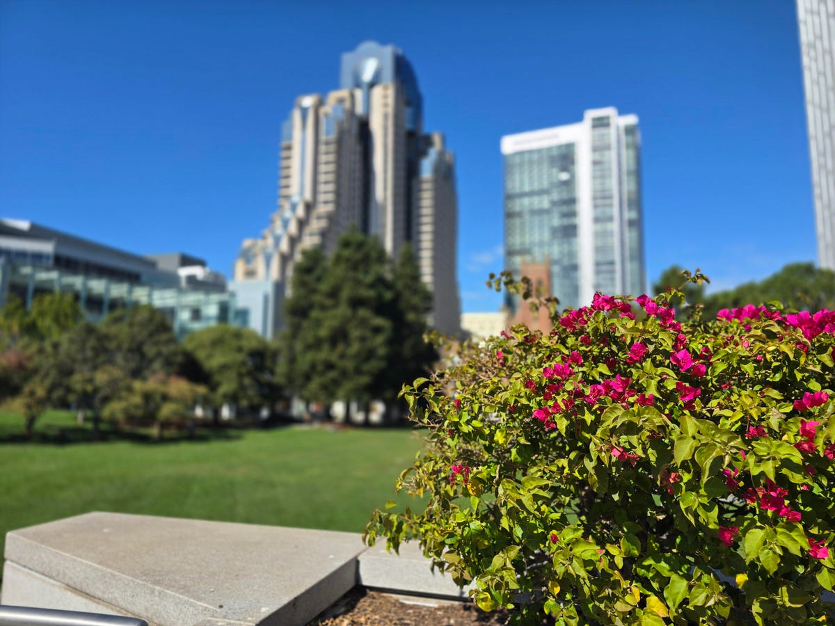 Yerba Buena Park portrait mode on Galaxy S24 Ultra