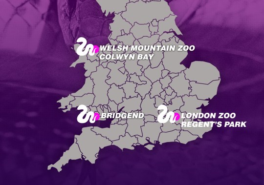 Map showing the areas where Aesculapian snakes are known to be breeding in the wild in the UK: Bridgend, Colwyn Bay and Regent's Park, London