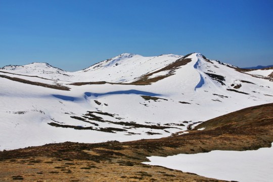 Snowy mountains and grassland.