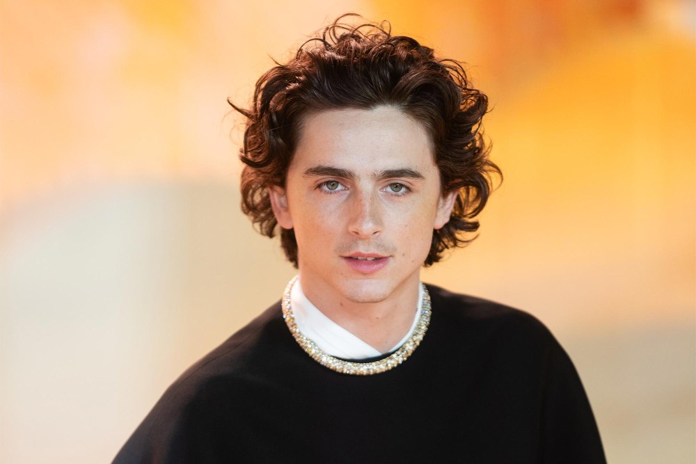 Timothee Chalamet Twin Lookalike Party for Rodent Men