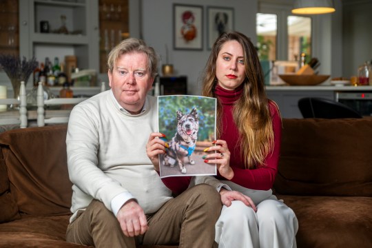 Pictured: Dominika and Ian with a picture of Bijoux. Ian Clague and Dominika Sojka whose husky chow chow cross Bijoux was found dying on a roadside in Bournemouth, Dorset. Picture order for Hound.