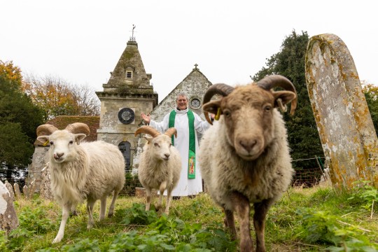 the vicar seen with the rams 