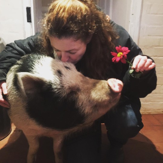 Hannah kisses Colin the pig on the head. Colin's expression shows that he truly enjoys this form of affection with her. 