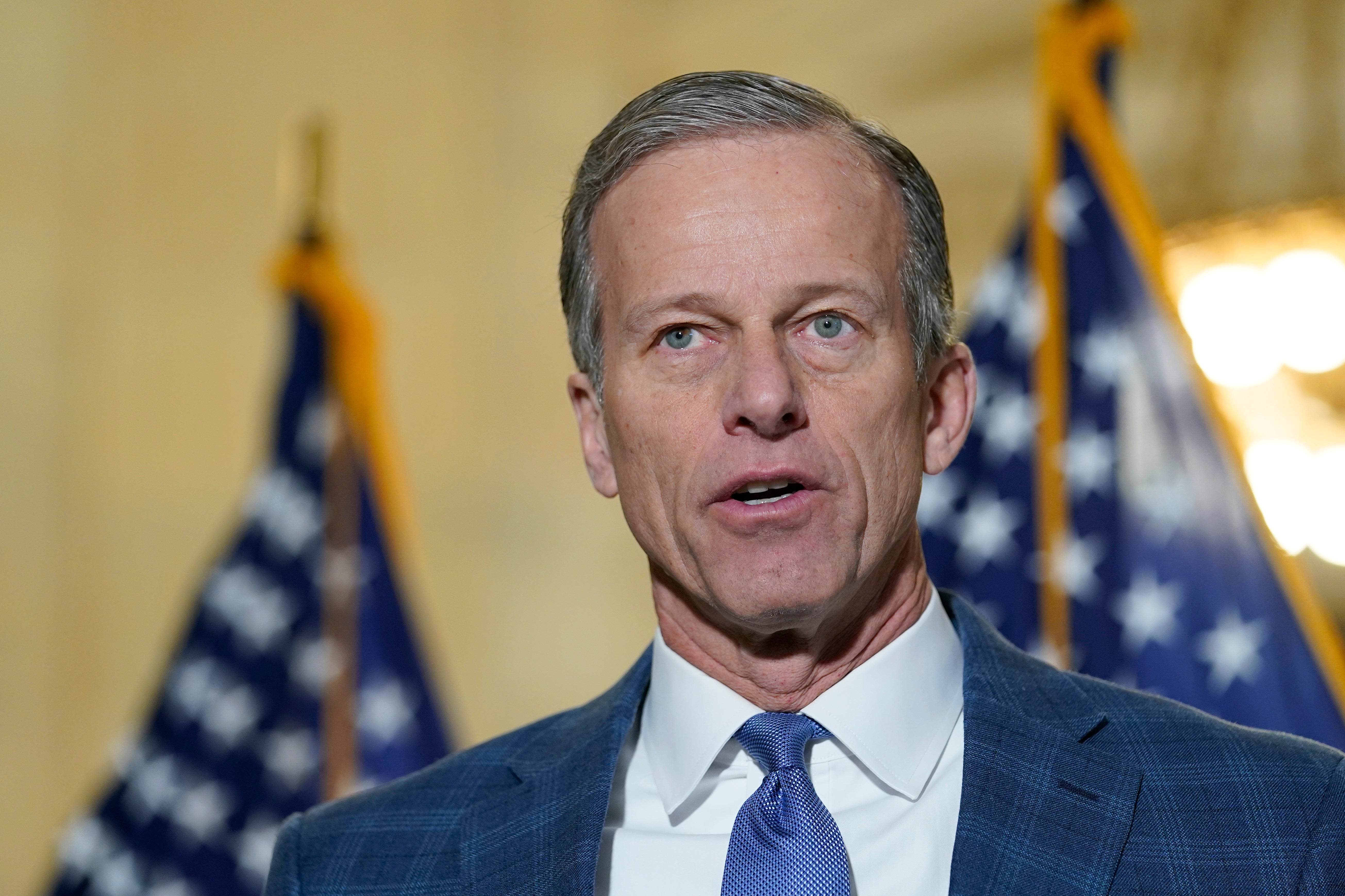 Senator John Thune said it was his ‘preference’ that Trump stay out of the internal leadership race