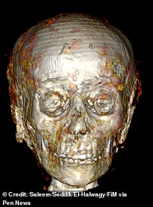 Using data from a 2023 study which 'virtually unwrapped' the mummy via CT scanning, experts were able to rebuild his skull