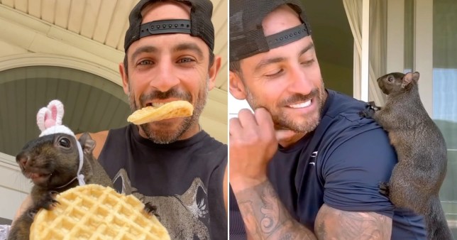 Peanut in bunny ears holding a waffle while Mark Longo bites on in his mouth, next to an image of Peanut climbing the shoulder of Longo, who is wearing a backwards black cap.