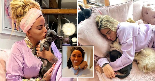 Katie Price kissing a pet dog on the left, on the right she is napping with pets, and in the central image a cat is sitting on her neck