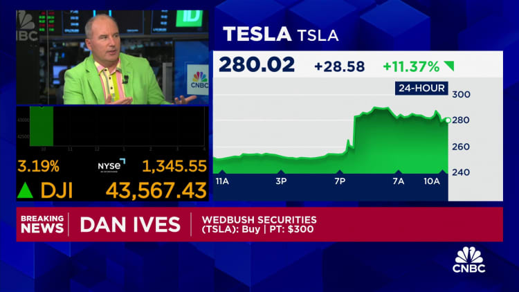 Elon Musk's big bet on Trump is a home run for Tesla, says Wedbush's Dan Ives